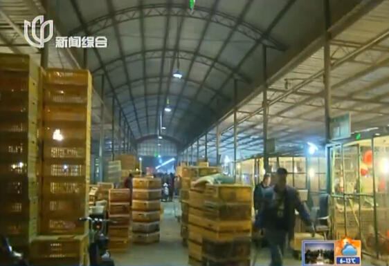 上海再現(xiàn)感染H7N9病毒病例 發(fā)病率與活禽交易有關(guān)