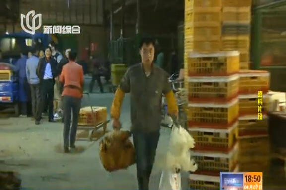 上海再現感染H7N9病毒病例 發病率與活禽交易有關