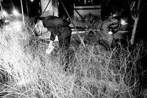 除夕夜麗斯花園炸死人 熊貓煙花北京一負責人被拘