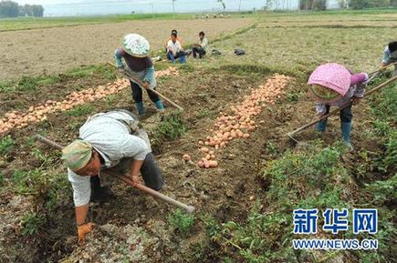 撫平創(chuàng)傷笑對未來 盈江震區(qū)受災群眾積極開展生產(chǎn)自救