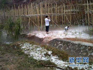 廣東發(fā)生雷雨大風(fēng)冰雹災(zāi)害 已造成12人死亡