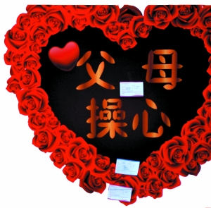 家長(zhǎng)相親會(huì)7年之癢:選媳像選妃 淘婿如淘金