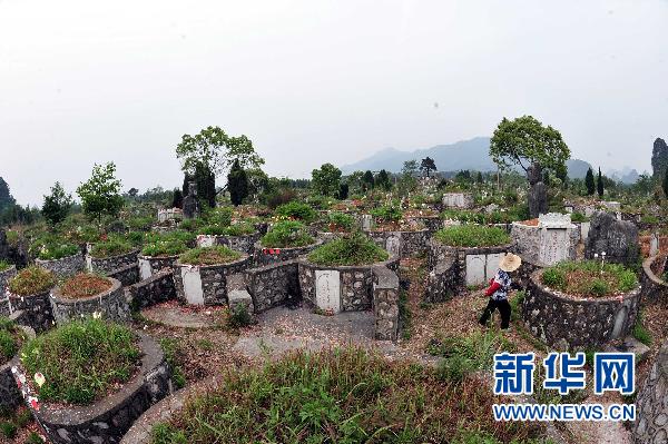 6萬座私墳入侵靖江王陵 國家級保護單位亂象叢生