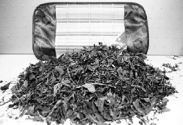 茶葉枕內芯充滿樹枝泥巴 廠家:茶葉只有20%