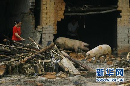 直擊湖南岳陽山洪泥石流災(zāi)區(qū)
