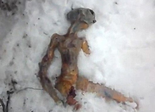 盤點(diǎn)那些真真假假的“外星人”事件(組圖)