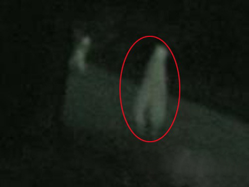 盤點那些真真假假的“外星人”事件(組圖)