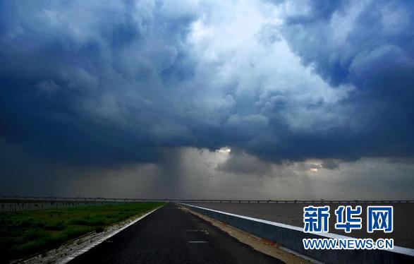 盤點一周網絡熱詞 “王濛被開除”最受關注