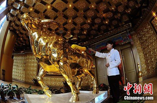 華西村回應炫富質疑稱建金牛系投資保值行為