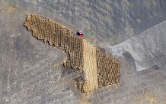 《時(shí)代》評(píng)出2011年度驚訝照片(圖)