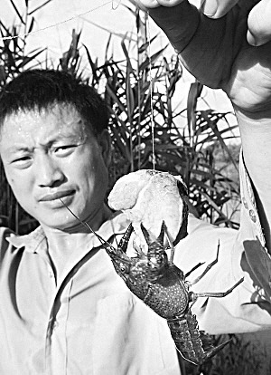 我外來入侵物種400多種 年經濟損失1200億