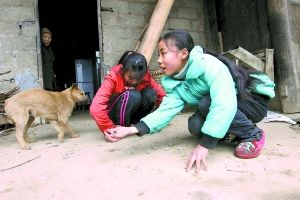 7歲女孩照料殘疾父母承擔(dān)家中大部分家務(wù)(組圖)