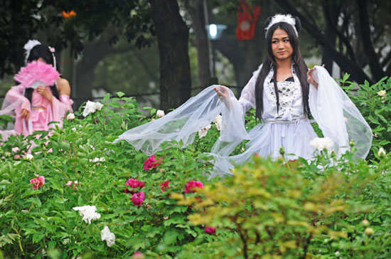 武漢一牡丹園驚現(xiàn)“偽娘團”