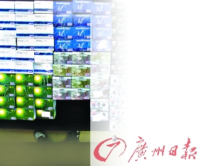 廣州女富豪卡不離身 被人盜刷596萬(wàn)