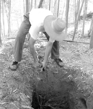 民警看盜墓小說派上用場 用“行話”破獲盜墓案