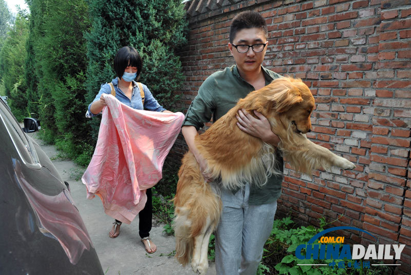 高清：寵物狗航空托運(yùn)死亡 數(shù)十愛(ài)心人士送別