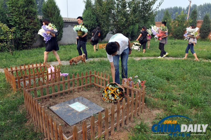 高清：寵物狗航空托運(yùn)死亡 數(shù)十愛心人士送別