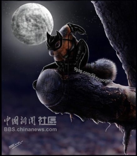 元芳很忙！細數(shù)那些一個不小心就火起來的“忙人”