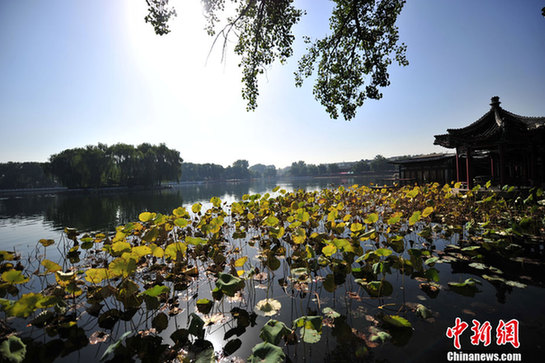細(xì)數(shù)京城十大“最美秋天的角落”