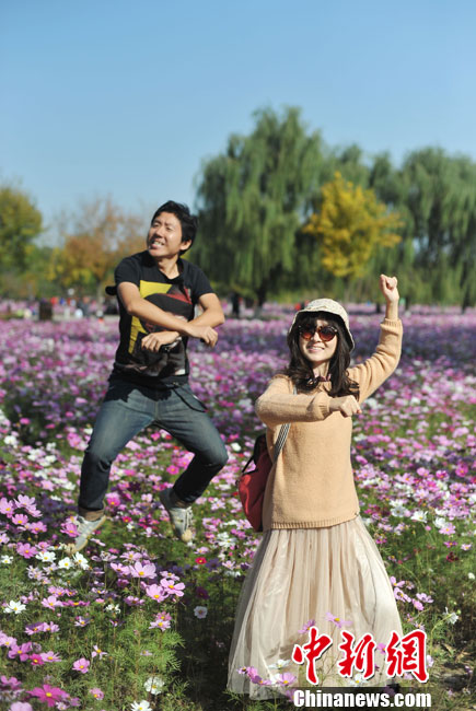 細數京城十大“最美秋天的角落”