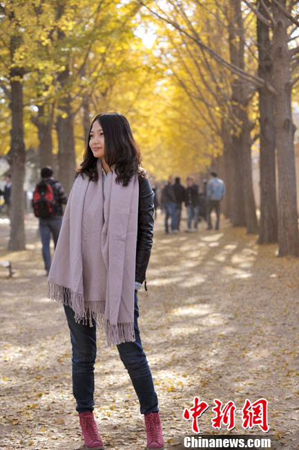 細數京城十大“最美秋天的角落”