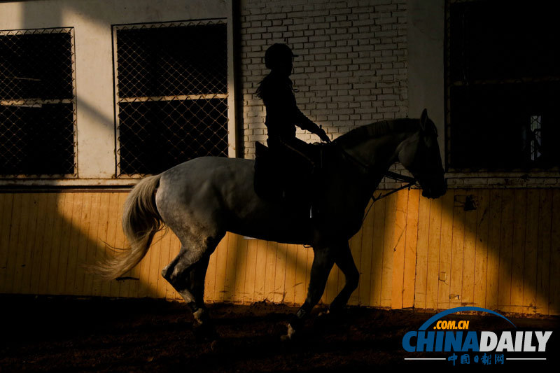 探訪京城頂級馬術俱樂部