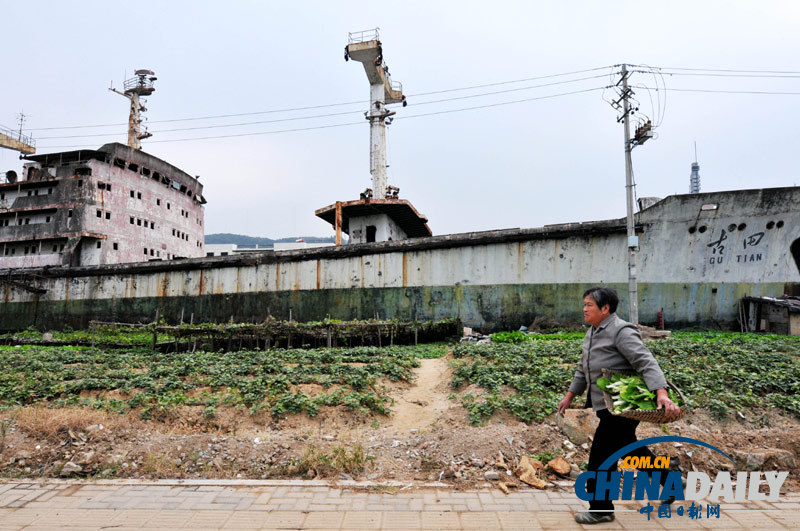 福州擱淺近40年水泥船“古田號(hào)”開(kāi)始拆解