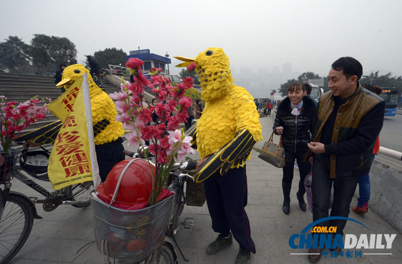 南京“鳥爺”騎行到重慶 扮“黃鸝”宣傳環保