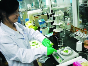 有蟲(chóng)眼兒的菜沒(méi)打藥？實(shí)驗(yàn)表明：也有農(nóng)藥殘留