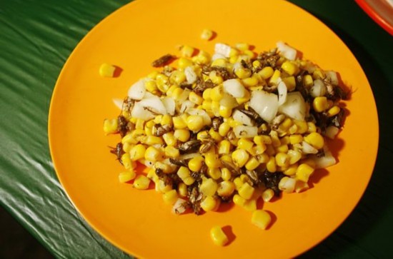 讓人目瞪口呆的“非主流”詭異食物