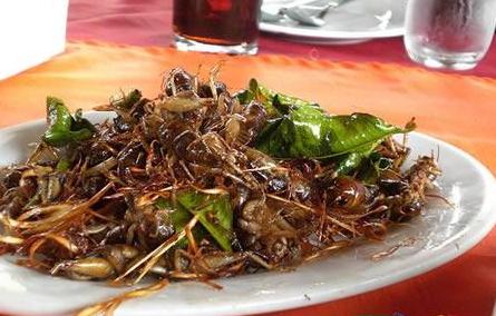 讓人目瞪口呆的“非主流”詭異食物