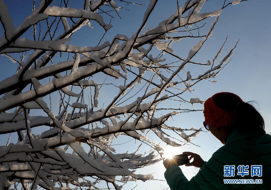 京城降雪迎春分 銀裝素裹如童話世界