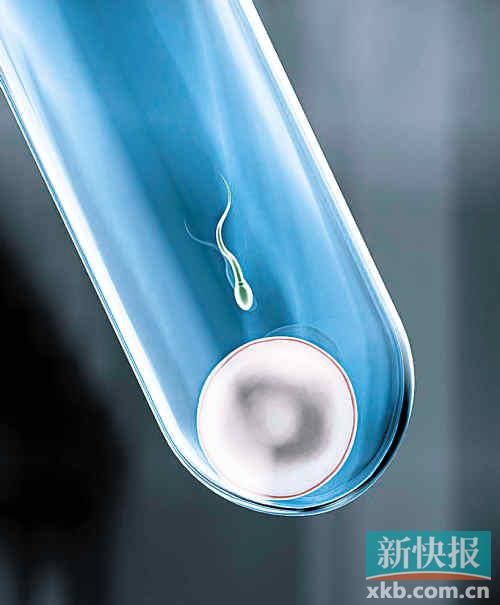 醫(yī)生為小三離婚又被其拋棄 7年后對方拿胚胎造子