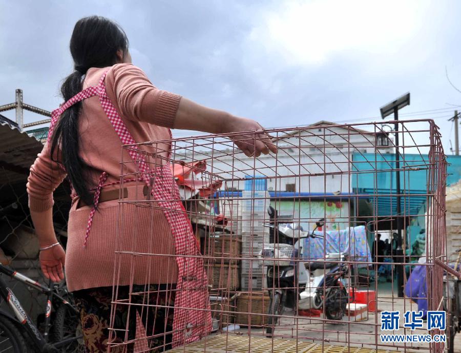 專家解析北京首例人感染H7N9禽流感病例