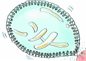 揭秘傳銷新花樣:記者臥底5天4夜全程參與“被洗腦”