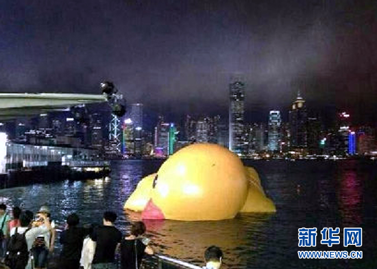 “小黃鴨”掛了 網友笑稱“禽流感太強大了”