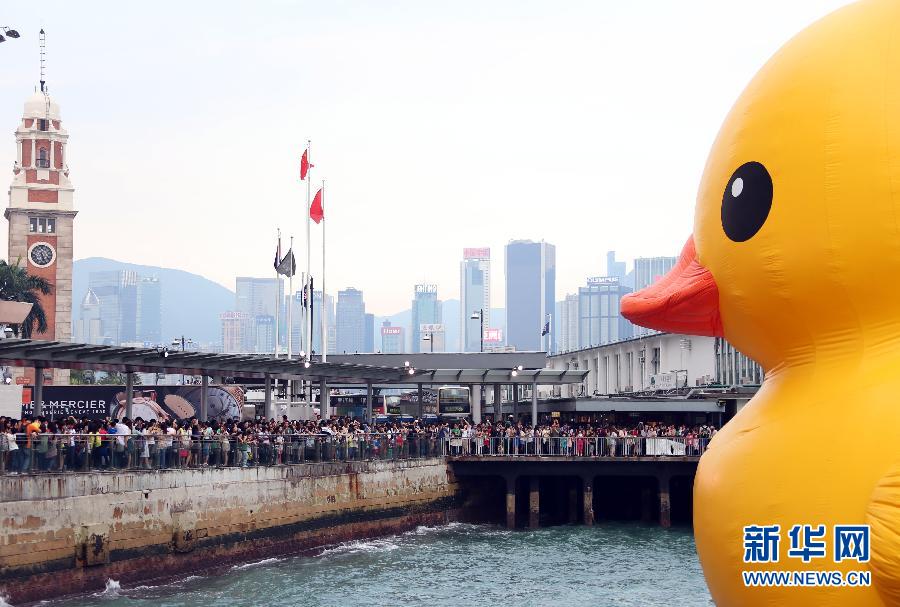 “小黃鴨”掛了 網友笑稱“禽流感太強大了”