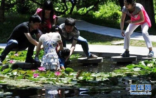 網友拍下女大學生跳水救人全程