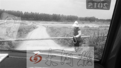 信陽現山寨收費站：俺修路俺收錢 過一次掏10元