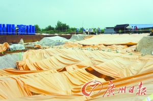 隨州葉家山西周古墓比曾侯乙墓早500年 未被盜掘