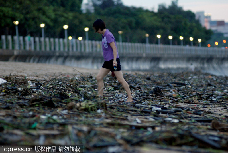 大批垃圾借臺風蘇力“入侵”廈門 海灘變“垃圾場”