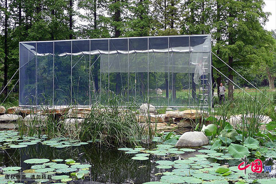 青島：公園引進螢火蟲大量死亡 “扎根”很難做到[組圖]