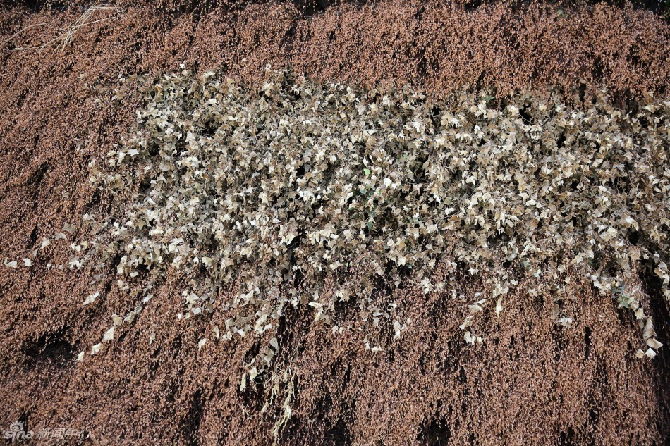 40.4℃高溫破紀(jì)錄 杭州市民全副武裝眾生相