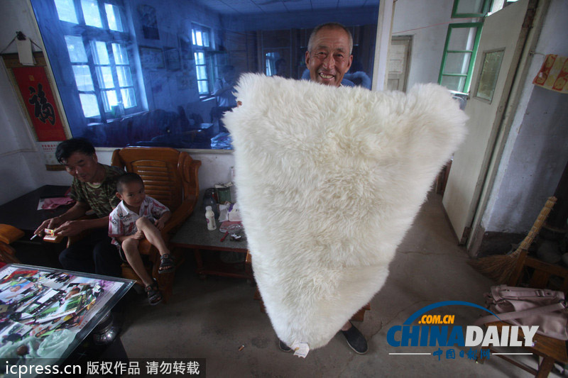 屌絲移民之路：濟南百余農民憑電焊手藝變身“澳洲藍領”拿綠卡