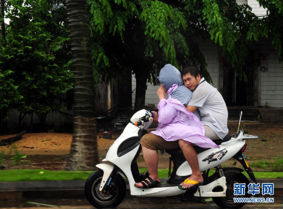 強熱帶風暴“飛燕”登陸海南 街邊大樹被連根拔起