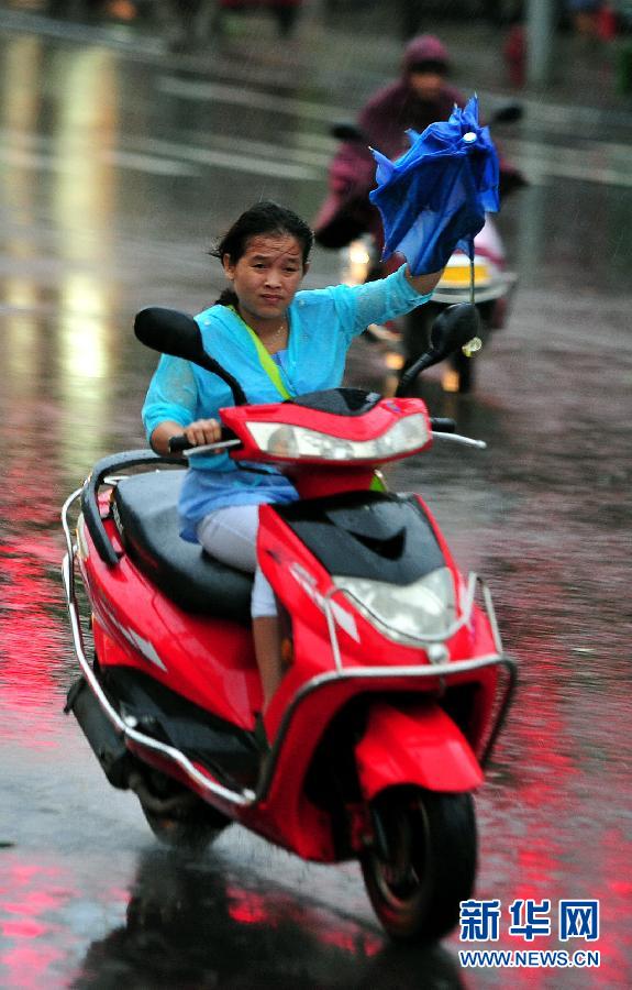 強(qiáng)熱帶風(fēng)暴“飛燕”登陸海南 街邊大樹被連根拔起