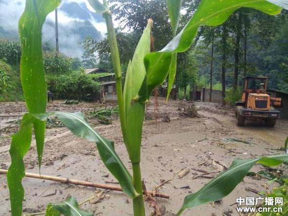 怒江貢山普拉底泥石流沖進警務站(圖)