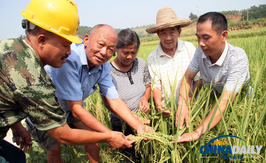 村支書(shū)放干自家承包水庫(kù)救活鄉(xiāng)親禾苗 3萬(wàn)斤魚(yú)無(wú)水曬成魚(yú)干
