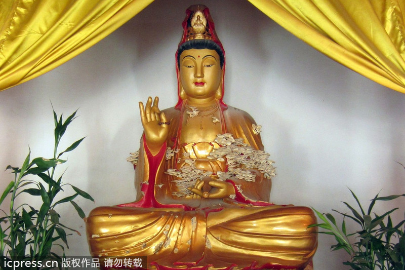 福建南靖縣：觀音長平菇 似“祥云”引圍觀