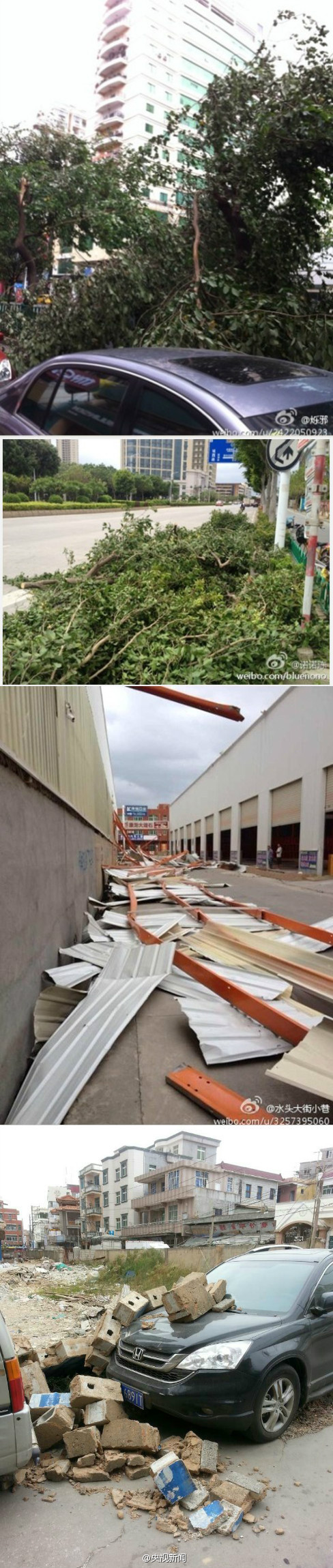 強臺風“天兔”登陸在即 汕頭大樹被吹倒致2死1傷